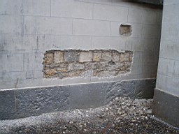 christchurch -1352b.jpg